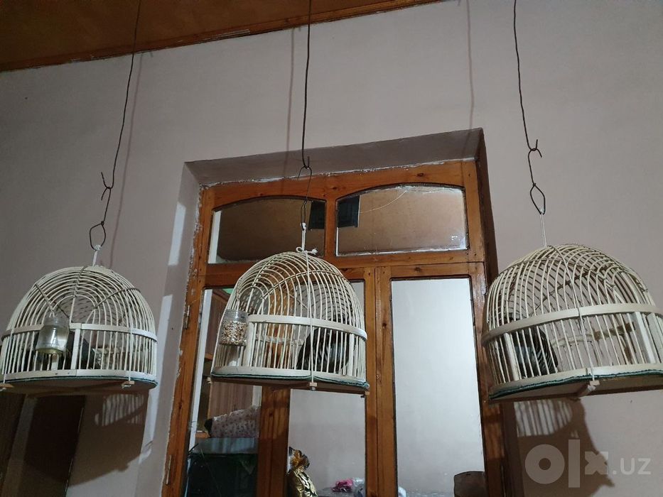 Каклик Нар серхон ром