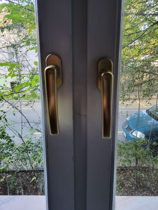 Geam termopan din lemn stratificat