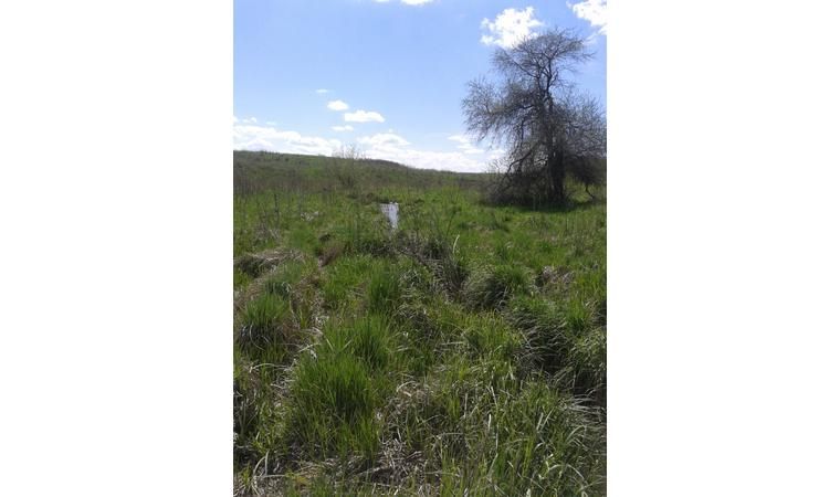 Продам участок 10 Га