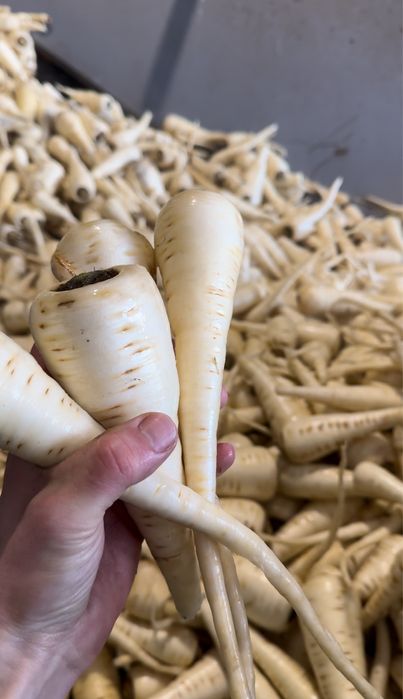 Pastarnac spalat 10 kg