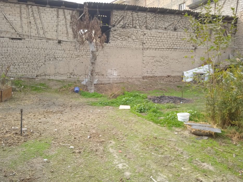 Zangiotada yer uchastkasi sotiladi.