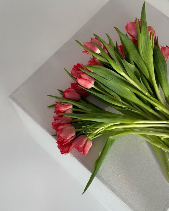 Тюльпаны на заказ 1 сентября