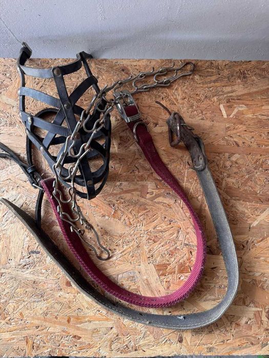 Accesorii Premium pentru Câini