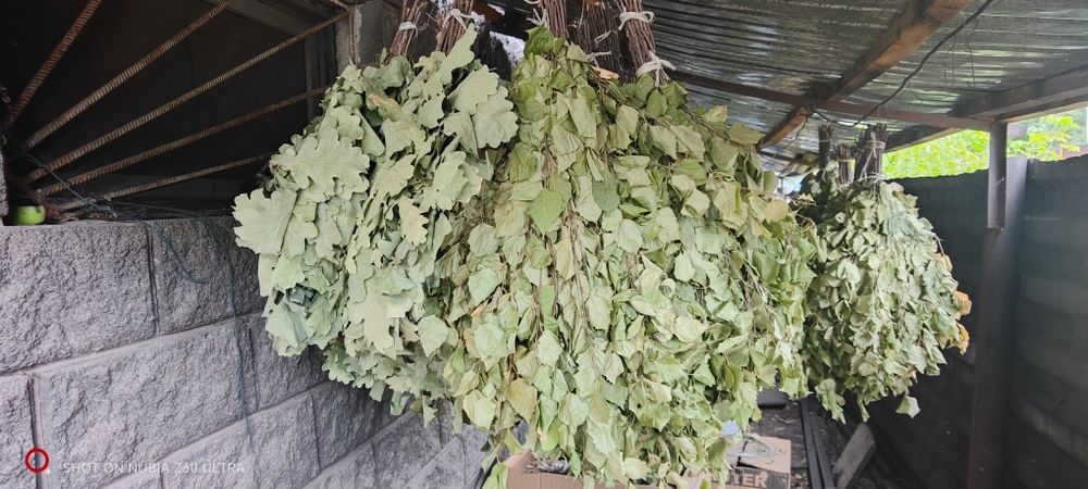 Продам веники для бани.