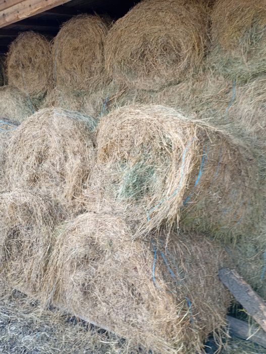 Baloti rotunzi semănătură