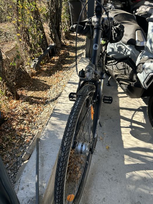 Bicicleta PEGASUS