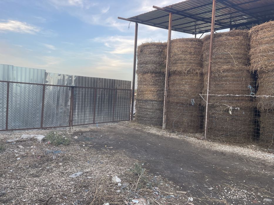 Baloti de fan costrei fan