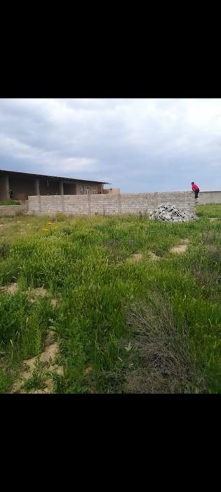 Продается участок(дача) 12 соток, разделён по 6 соток, кадастр есть