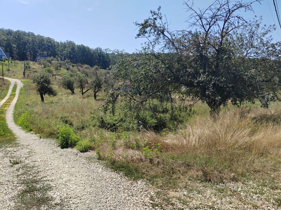 Vand teren intravilan 1.549 MP – Valea Merilor, Predesti, Dolj -  curent trifazic introdus