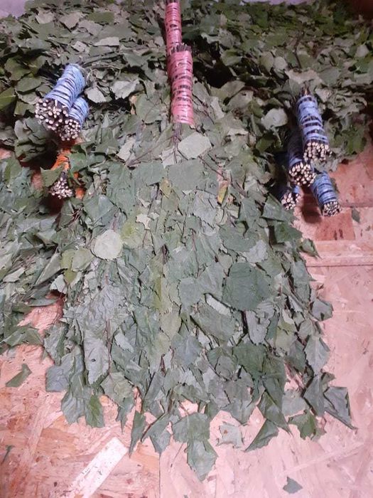 Веники березовые