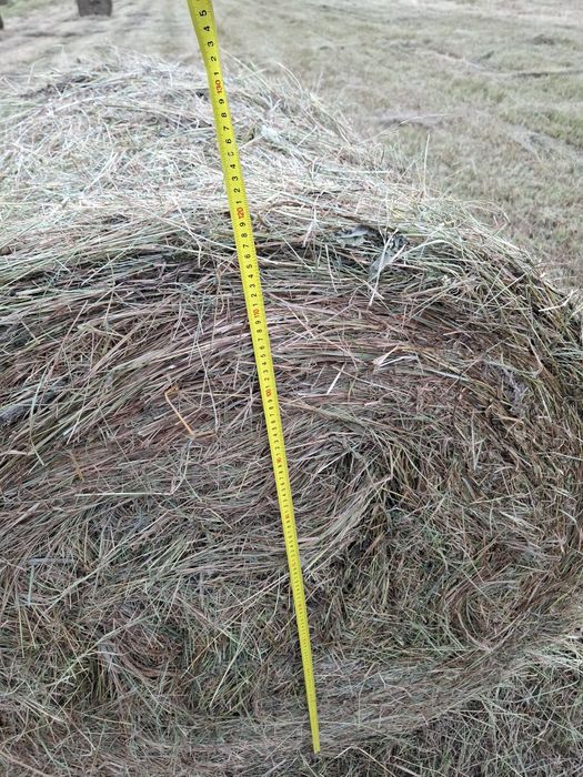 Продам сено луговая 250кг