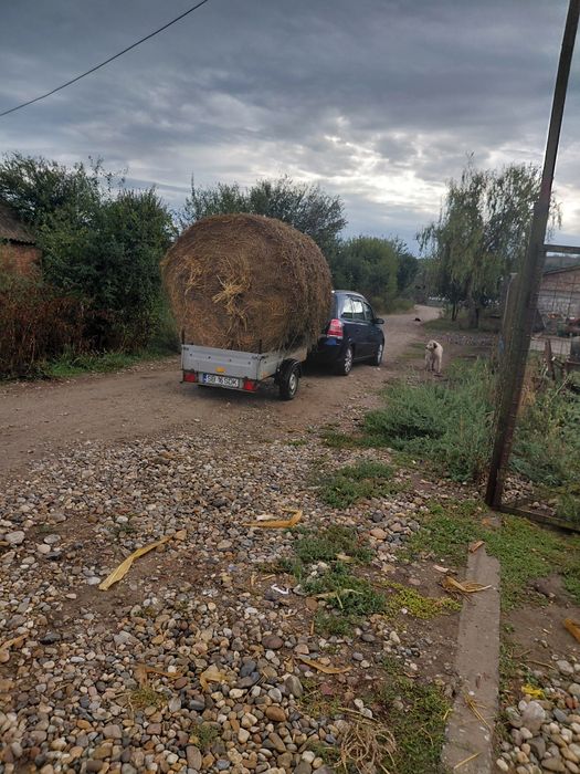 Baloți rotunzi de tocatura de porumb si baloți de paie de grâu