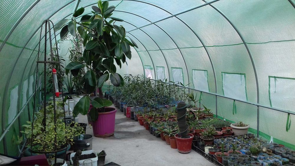 Solar/sera gradina, teava galvanizata,folie armata,marimi 2x2-8x20m ab