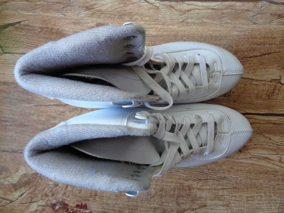Patine de gheata .