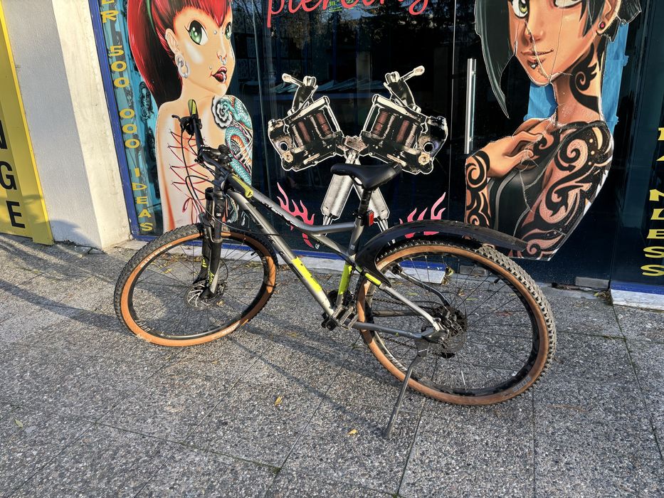 Bulls 27.5.