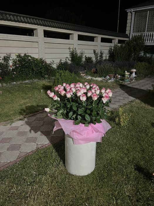 продам цветы большой