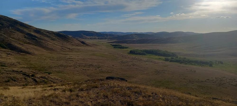 Продам Зимовку Каркаралинск