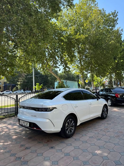 BYD Chazor 55 km