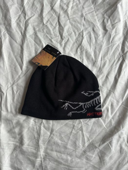 шапка Arcteryx редкой расцветки