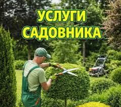 Покос стравы. Спил деревьев