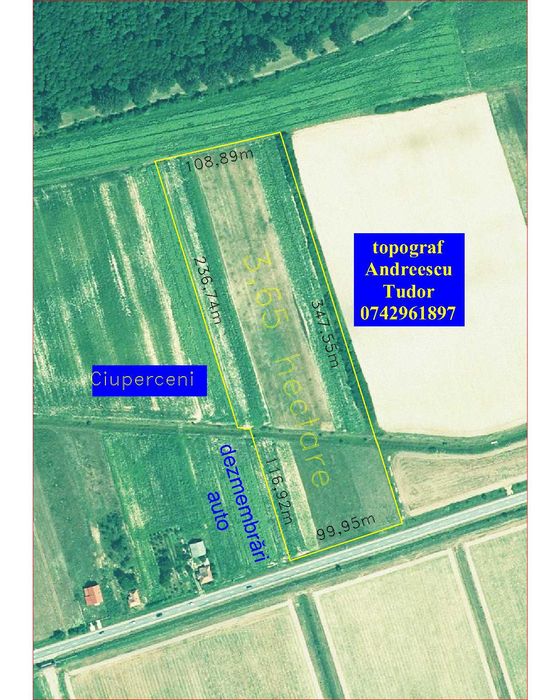3.65 hectare teren parțial intravilan Ciuperceni de vanzare, front 100 m la asfalt, ceas curent trifazic, construibil, plat