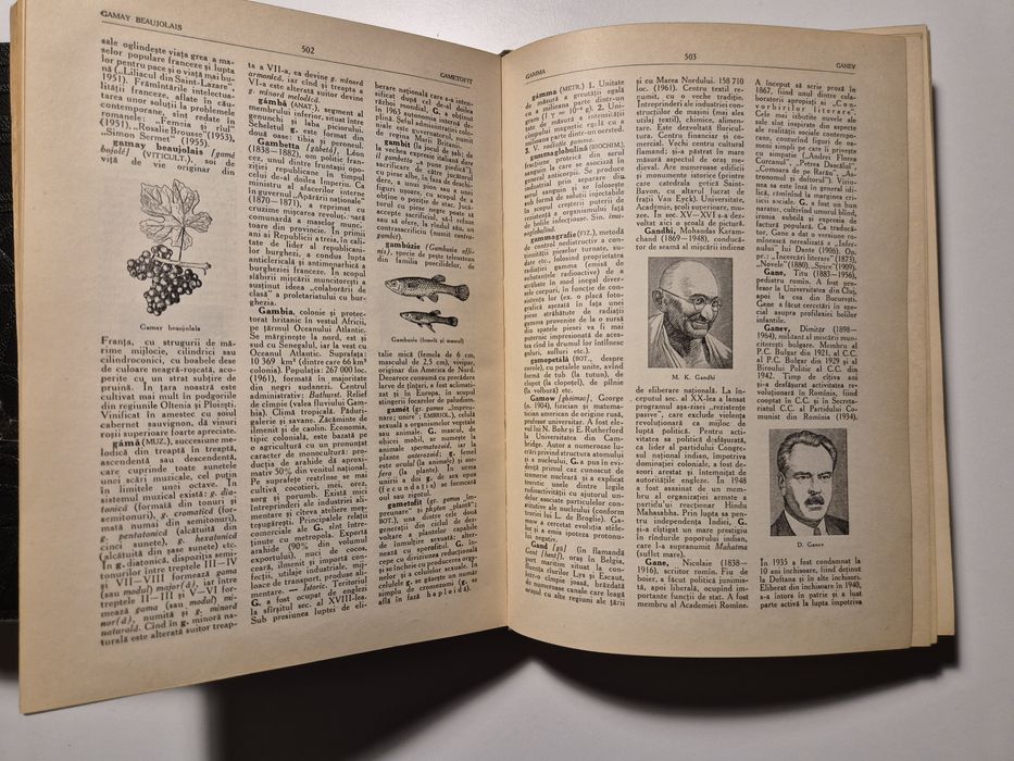 DICTIONAR Enciclopedic Roman, 4 volume, Editura Politică 1962