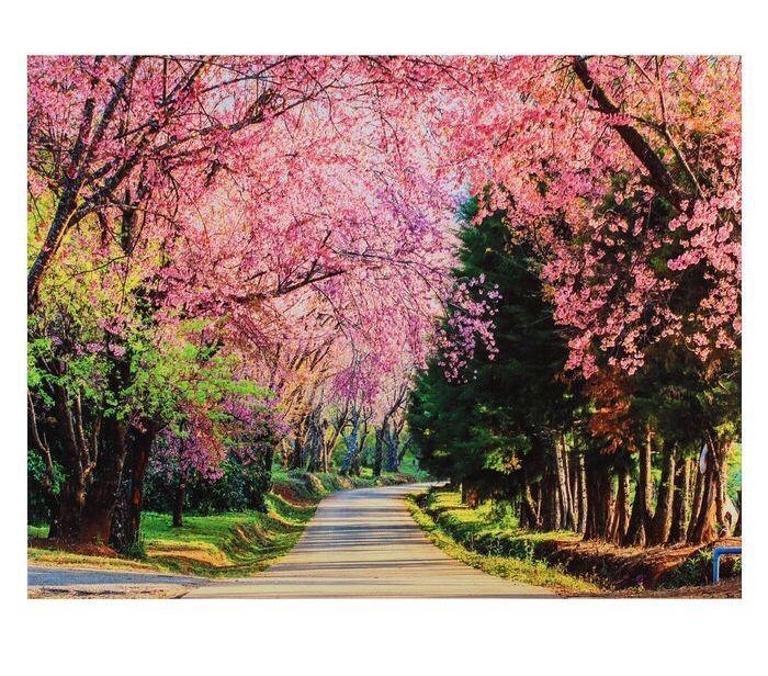 Картина на холсте 30х40 см