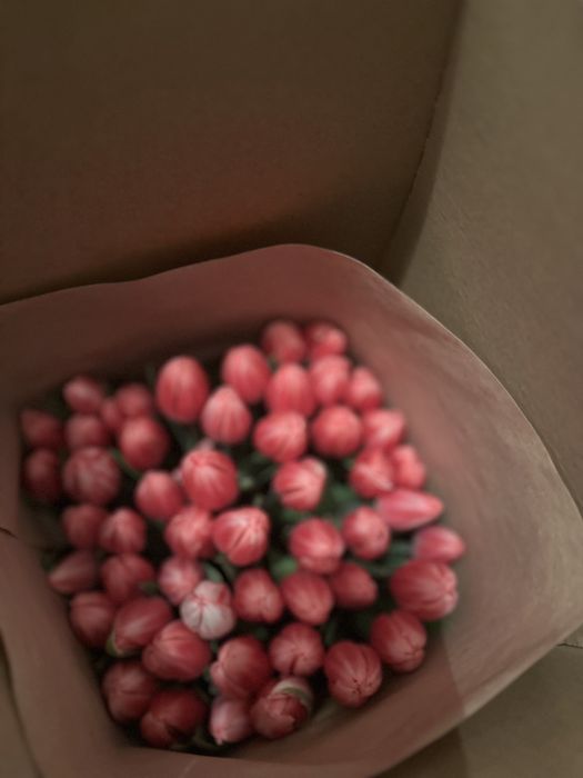 Тюльпаны к 8 марта премиум сорт