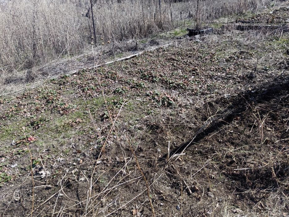 Продам дачу в Павлодаре