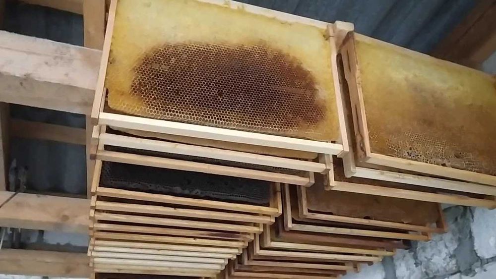 Продам рамки суш и рамки медовые