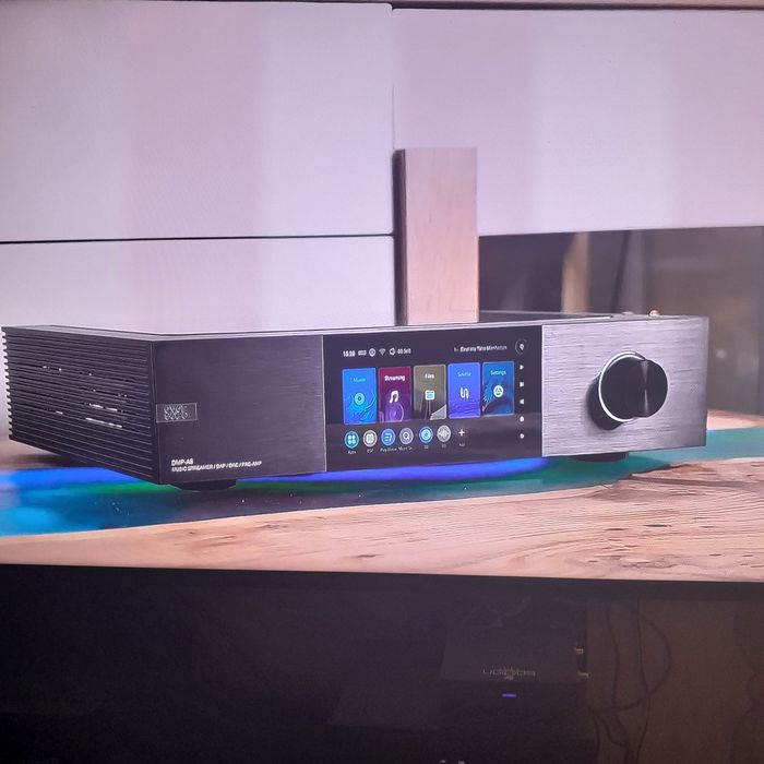 EverSolo DMP- A 8