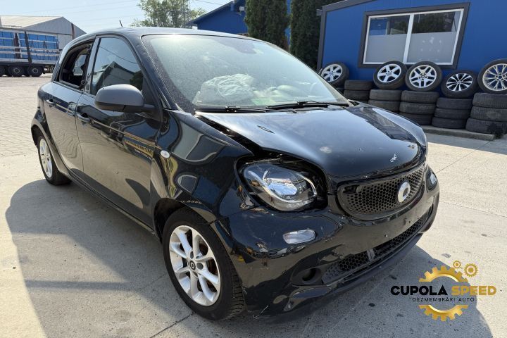 Usa Portiera spate stanga (defecte de la grindina) Smart Forfour 2 [2