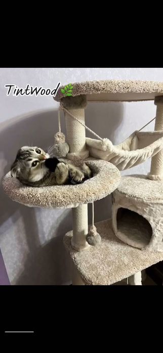 Домик когте-точка для кошки.