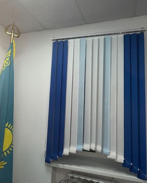 Рулонные шторы,Зебра,Дуэт шторы