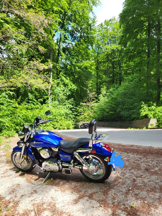 Vand Kawasaki Meanstreak 1600
