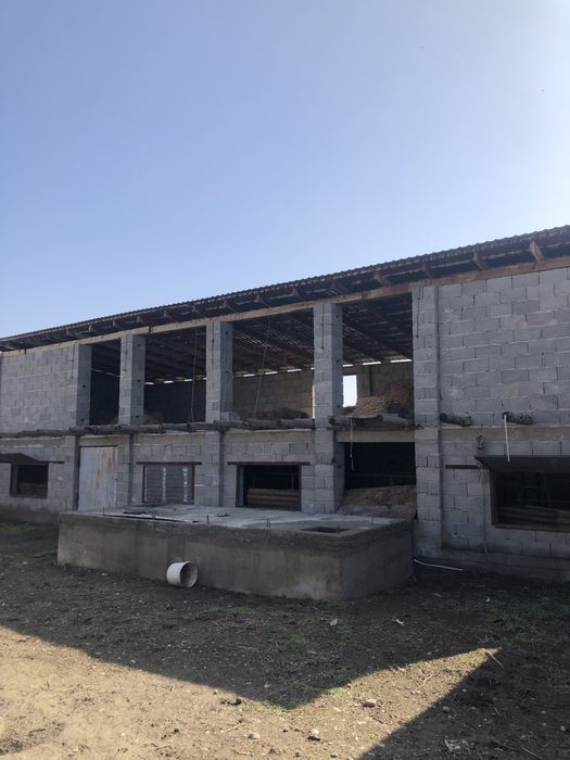 Фазенда Сатылады Откорм Баз