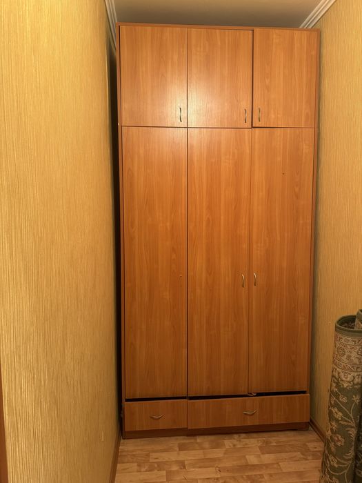 Большой шкаф для коридора