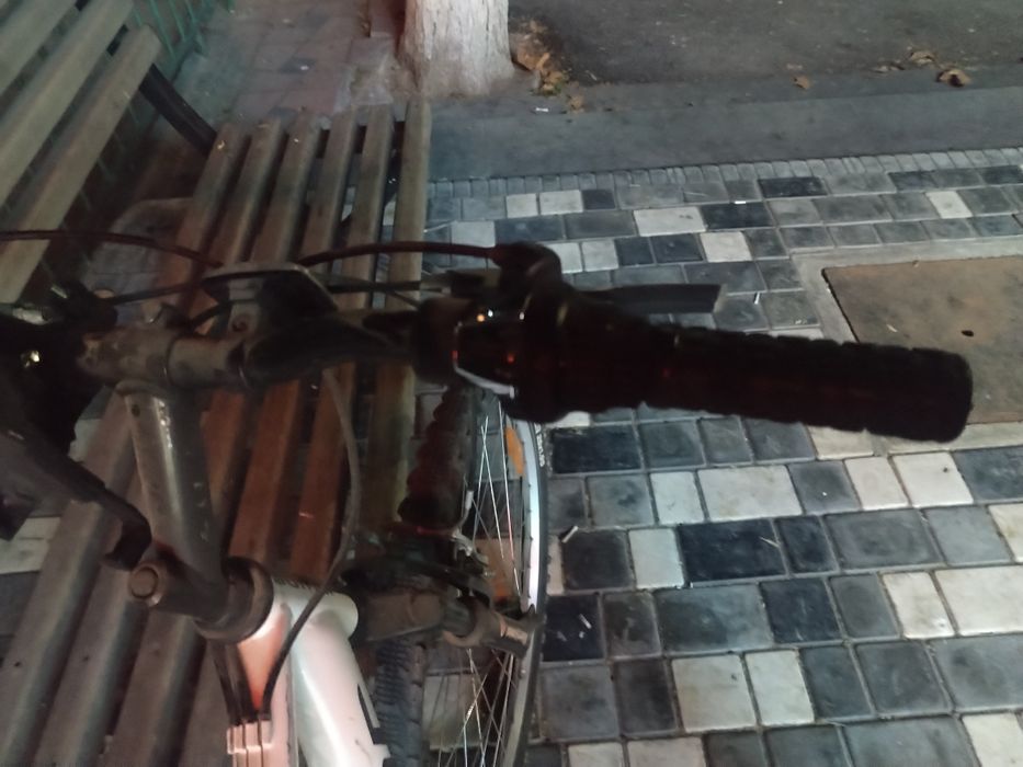 author trophy spartivni rusda kelgan velasped