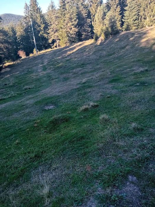 Продава се Парцел в Доспат - 3000 кв.м за 54 €/кв.м - Снимка #2