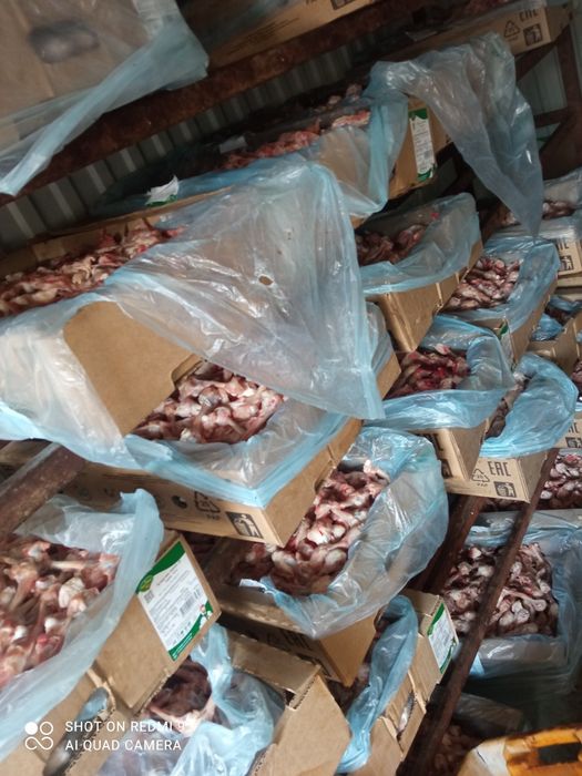 Корм для собак свежий