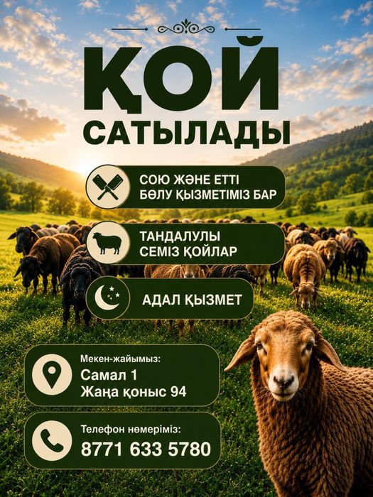 Курбан айтка койлар бар!