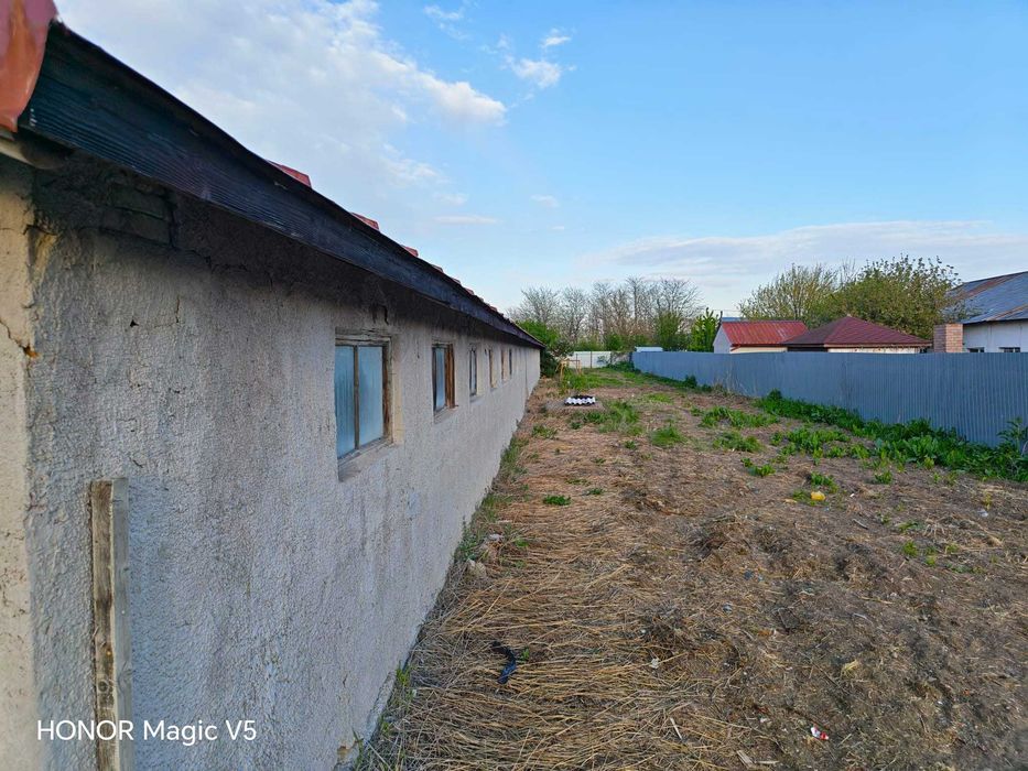 Hală 900 mp cu birouri și anexe, teren 3.000 mp – Șiliștea, Brăila