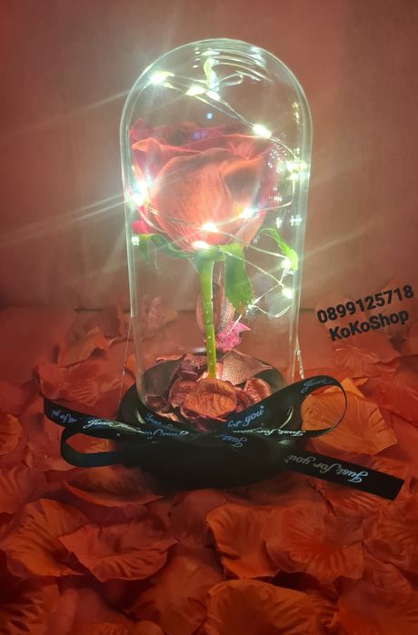 Вечна роза в стъкленица с LED светлини/Роза в луксозна кутия