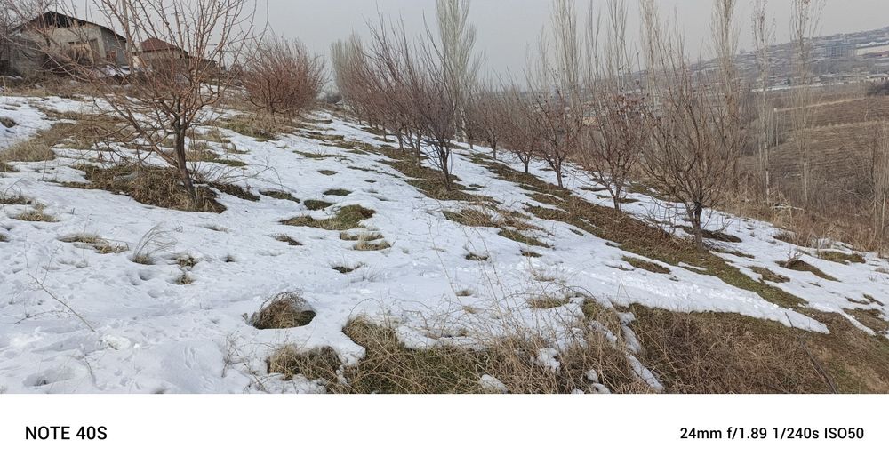 Yer uchastka 30 sotix