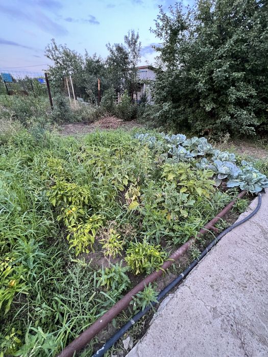 Дача в городе. Телецентр!