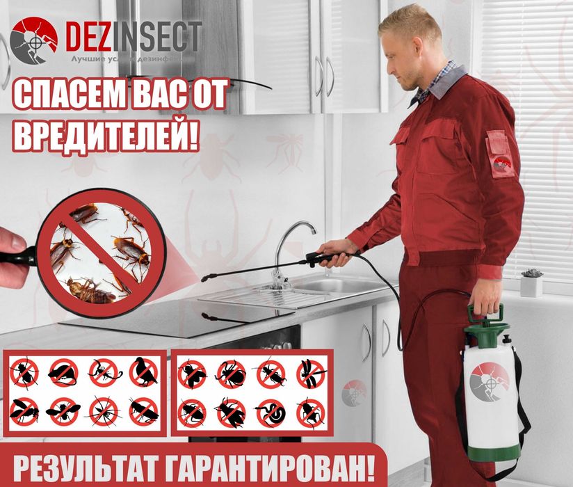 Dezinfeksiya xizmati | Dizinfeksiya | Dorilash xizmati | Klapaga Dori