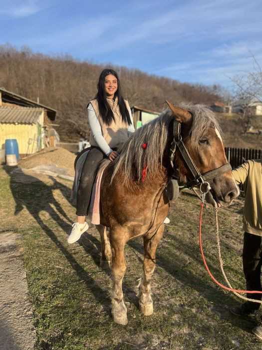 Vand armasar de 2 ani si 9 luni