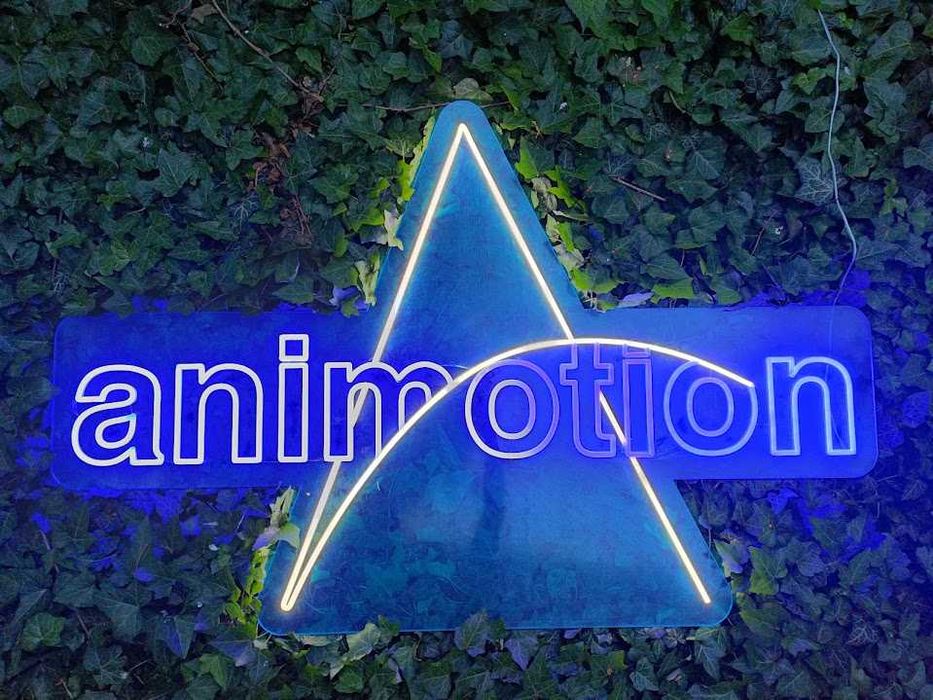 Neon sign LED Decoratiuni luminoase pe comanda