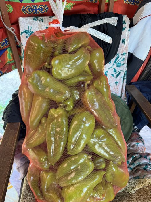 Продам помидор, перец, тыкву