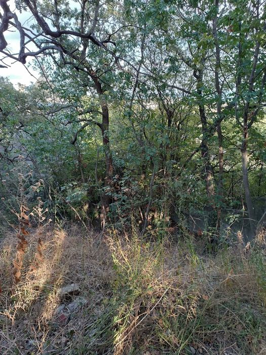 Продава се Парцел в Варна, м-т Евксиноград - 520 кв.м за 260 €/кв.м - Снимка #2